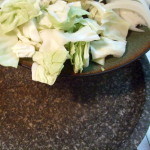 spicy_grilled_chicken_08- spicy_grilled_chicken_08-