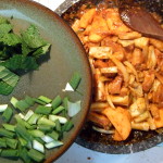 spicy_grilled_chicken_11- spicy_grilled_chicken_11-